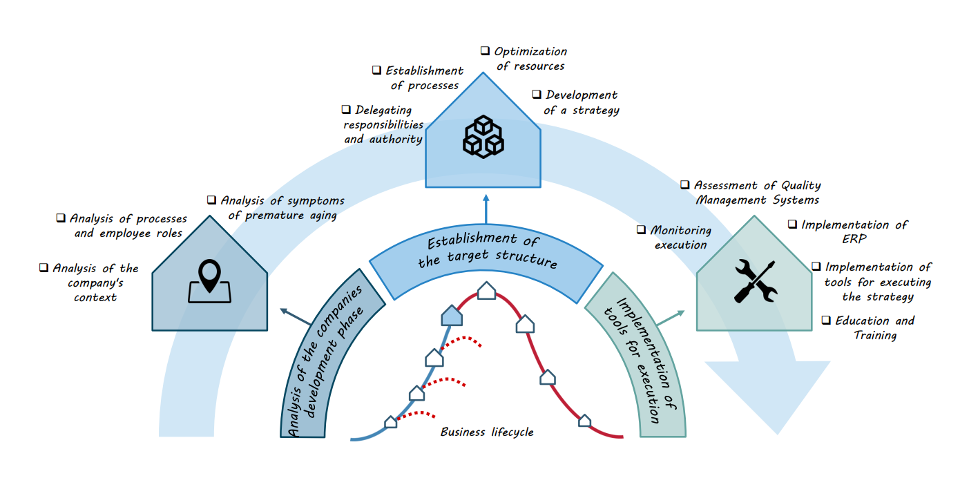 company's live cycle